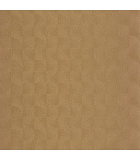 PP CASAD.SOLARIS ASTERIOS DORE