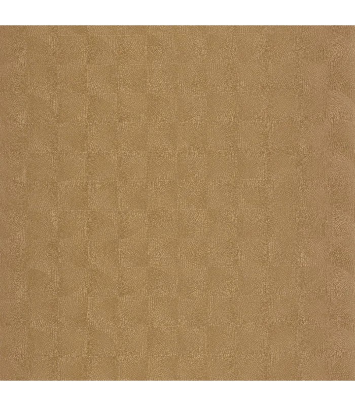 PP CASAD.SOLARIS ASTERIOS DORE