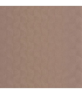 PP CASAD.SOLARIS ASTERIOS ROSE