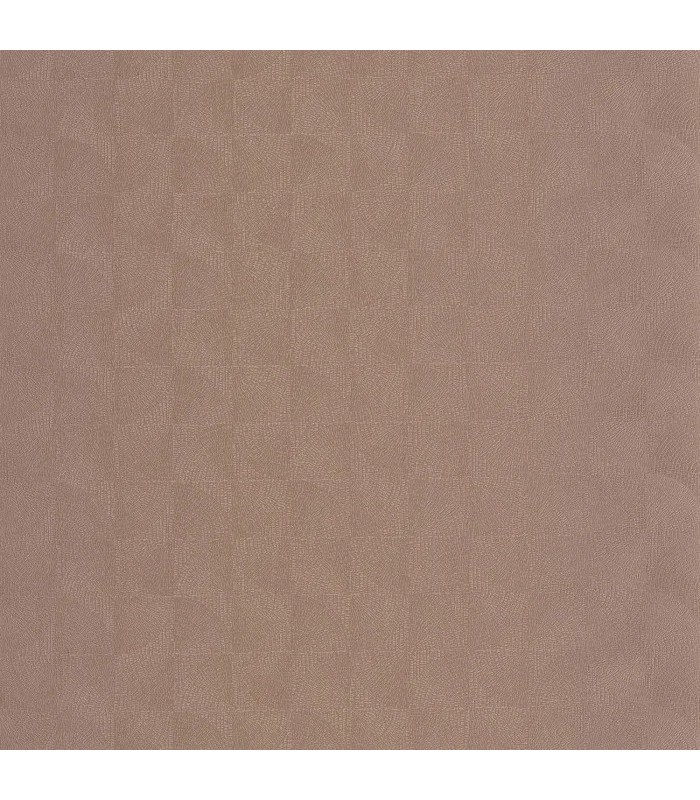 PP CASAD.SOLARIS ASTERIOS ROSE