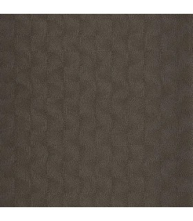 PP CASAD.SOLARIS ASTERIOS NOIR