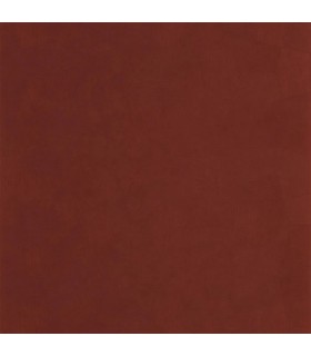 PP CASAD.SOLARIS SELENE AMARENA