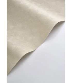 PP CASAD.SOLARIS ASTERIOS GREGE