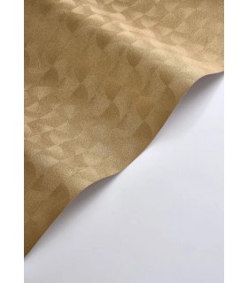 PP CASAD.SOLARIS ASTERIOS DORE