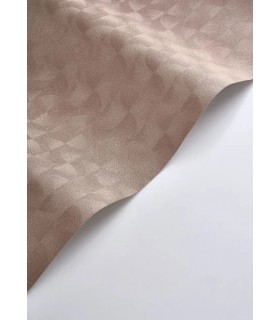 PP CASAD.SOLARIS ASTERIOS ROSE