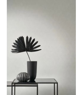 PP CASAD.SOLARIS ASTERIOS ARGENT