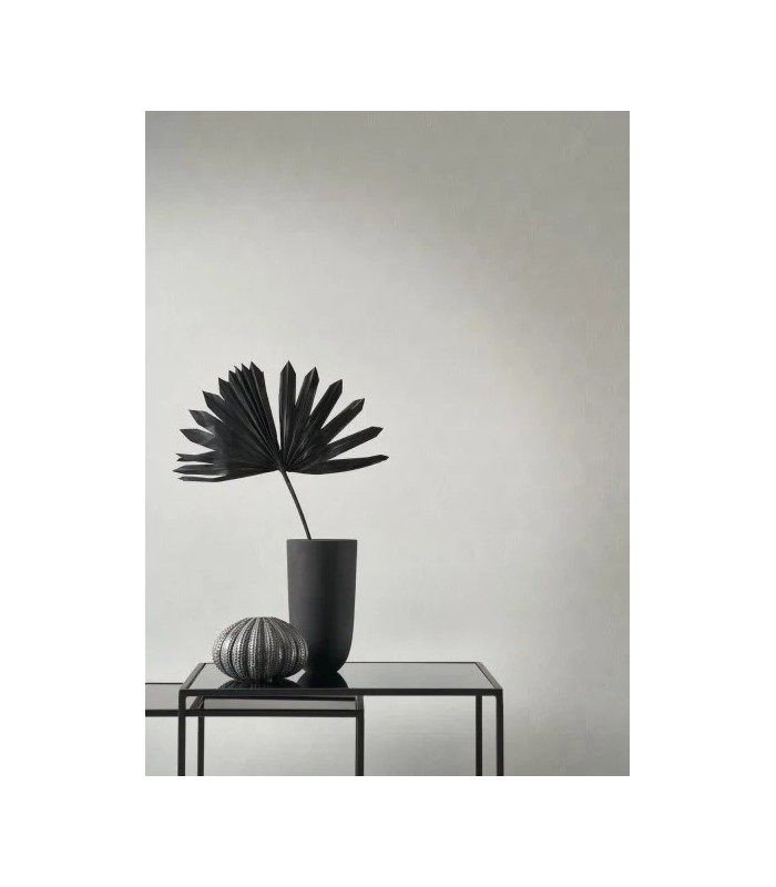 PP CASAD.SOLARIS ASTERIOS ARGENT