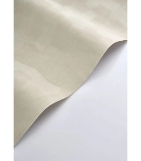 PP CASAD.SOLARIS SELENE GREGE