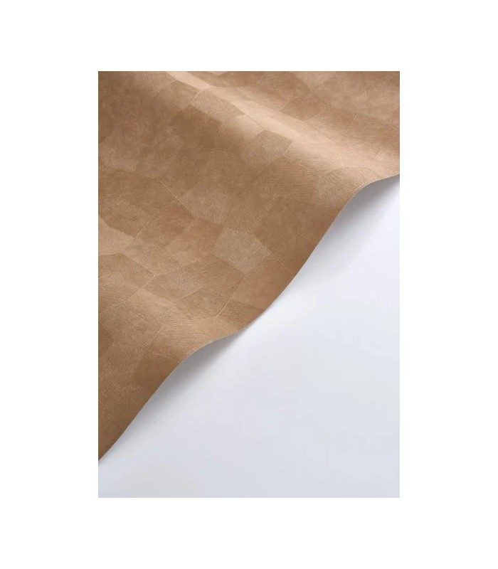 PP CASAD.SOLARIS SELENE NOISETTE