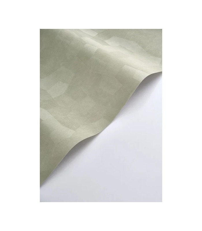 PP CASAD.SOLARIS SELENE VERT