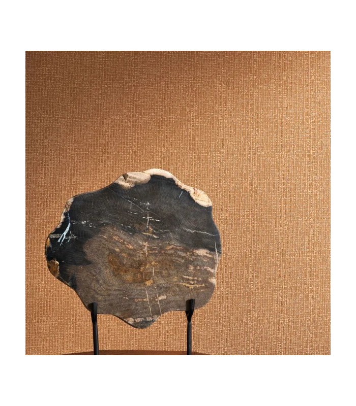 PP CASAD.SOLARIS DIONE TERRACOTTA