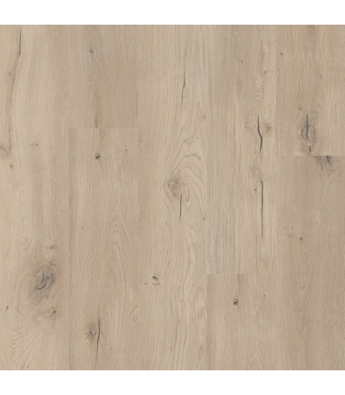 Lame Vinyle Naturals 1200 Coretec - Forest STK - 1220x182mm 2,66m²