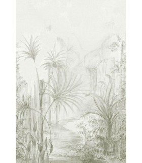 Panoramique ARILLE LICHEN - PANORAMAS 3 - CASAMANCE - REF.76411426