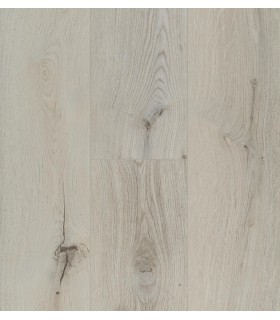 OCEAN+ 8V4 GYANT LIGHT