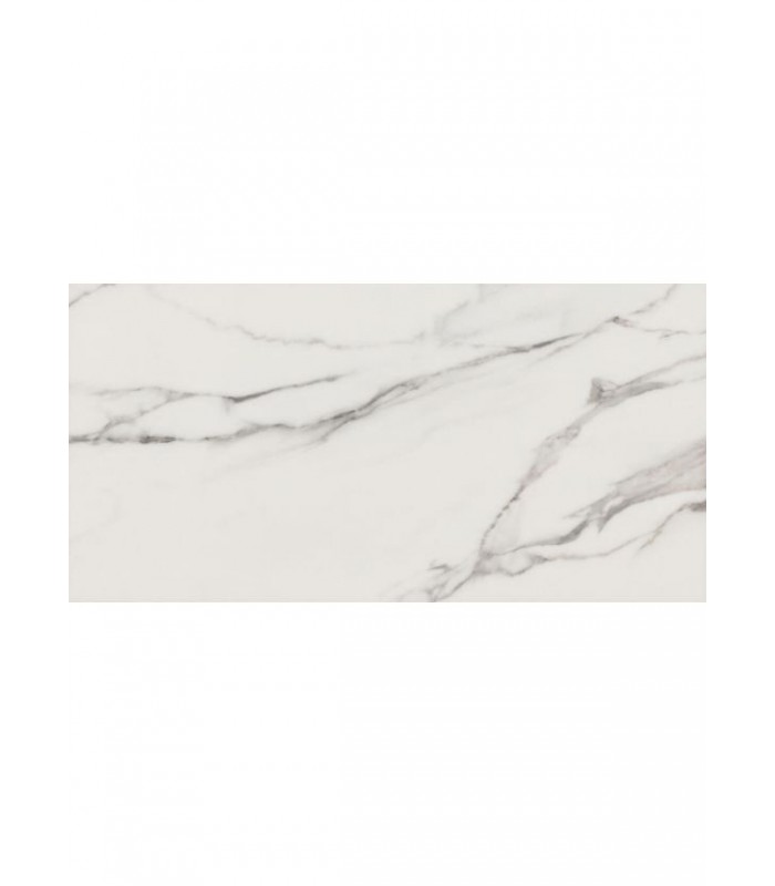 RIGID 55 VENTI DALLE