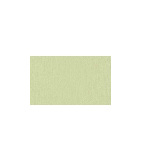 P.P BATIPLUS     REF 16083