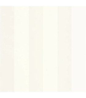 PP CASE. WIDE LINES BLANC I. 10402 VDNT0