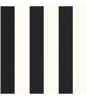 PP CASE. WIDE LINES NOIR 10402 VDNT0