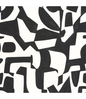 PP CASE. BROKEN PATTERN N/B. 10712 VDNT0