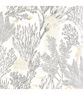 PP CASE. DEEP ABYSS BL.NOIR OR 10719 VDNT0