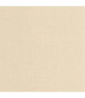 PP CASE. UNI CHAMPAGNE 10608 VP0