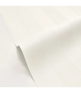 PP CASE. WIDE LINES BLANC I. 10402 VDNT0
