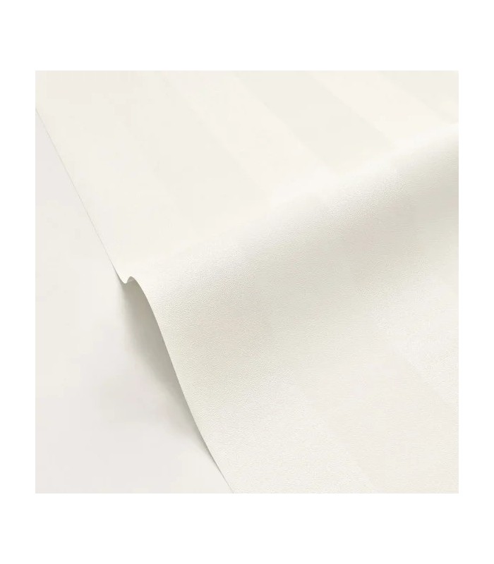 PP CASE. WIDE LINES BLANC I. 10402 VDNT0