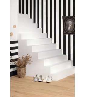 PP CASE. WIDE LINES NOIR 10402 VDNT0