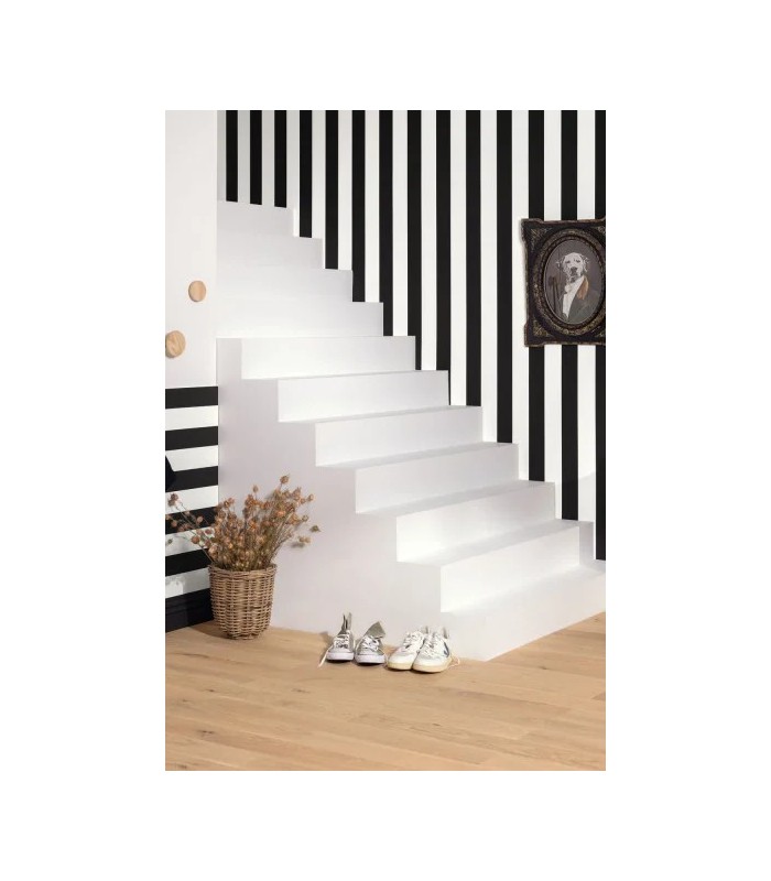 PP CASE. WIDE LINES NOIR 10402 VDNT0