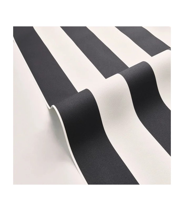 PP CASE. WIDE LINES NOIR 10402 VDNT0