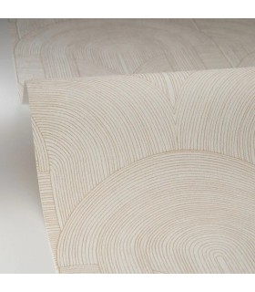 PP CASE. DELICACY BLANC OR 10656 VDNT0