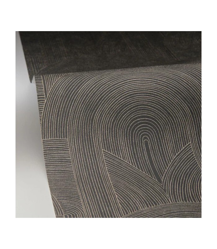 PP CASE. DELICACY NOIR OR 10656 VDNT0