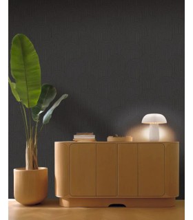 PP CASE. CURVED LINE NOIR 10711 VDNT0