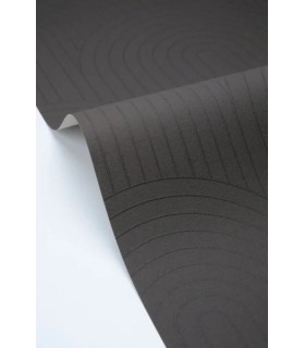 Papier peint Caselio - Curved Line noir - 10711