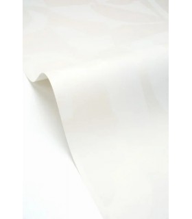 PP CASE. BROKEN PATTERN BL. N. 10712 VDNT0