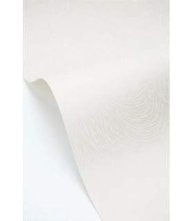 Papier peint Caselio - Storm blanc - 10706