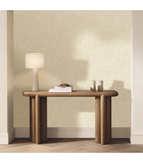 PP CASE. STORM BLANC OR 10706 VDNT1