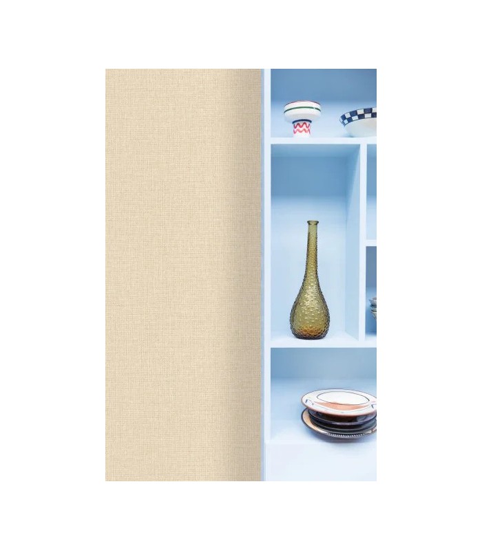 PP CASE. UNI CHAMPAGNE 10608 VP0