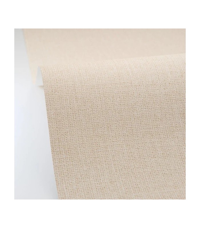 PP CASE. UNI CHAMPAGNE 10608 VP0