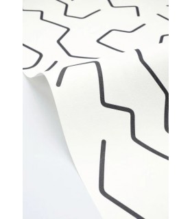 PP CASE. ART LINE NOIR ET BL. 10710 VPNT2