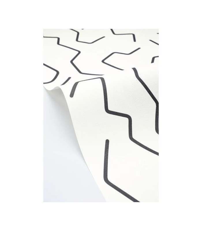 PP CASE. ART LINE NOIR ET BL. 10710 VPNT2