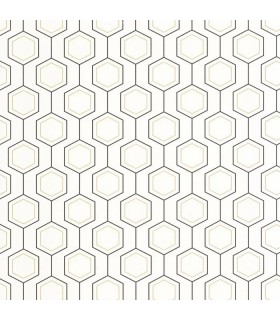 PP CASE. HEXALINE NOIR BL. OR 10713 VPNT2