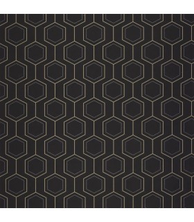 PP CASE. HEXALINE NOIR OR 10713 VPNT2