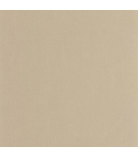 PP CASAD. NEST LIN 20100 VI