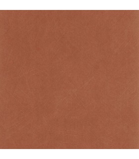 PP CASAD. NEST BRIQUE 20100 VI