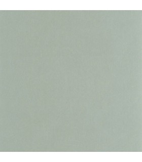 PP CASAD. NEST VERT SAUGE 20100 VI