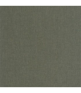 PP CASAD. CARACTERE VERT NIL 20117 VI