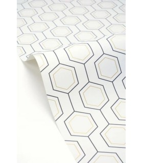 PP CASE. HEXALINE NOIR BL. OR 10713 VPNT2