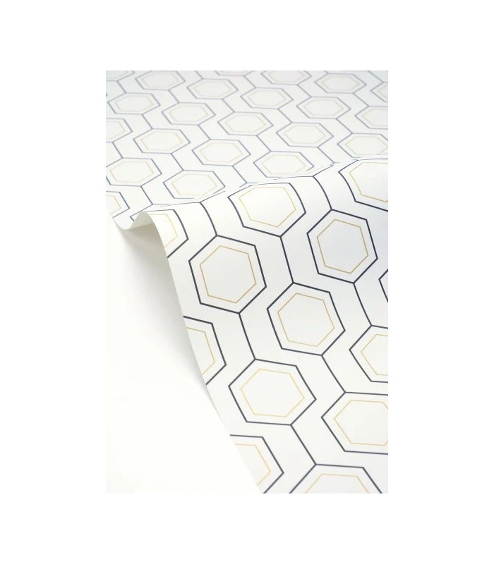 PP CASE. HEXALINE NOIR BL. OR 10713 VPNT2