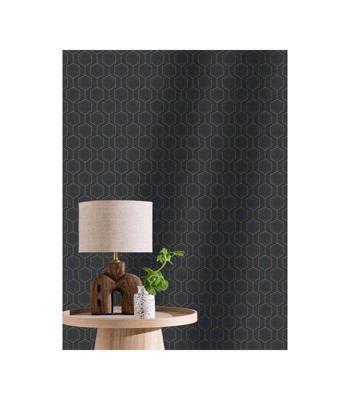 PP CASE. HEXALINE NOIR OR 10713 VPNT2